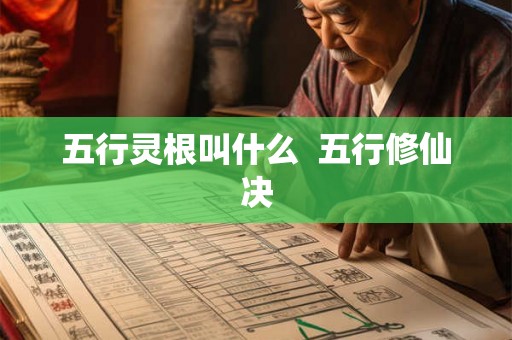 五行灵根叫什么  五行修仙决