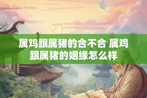 属鸡跟属猪的合不合 属鸡跟属猪的姻缘怎么样