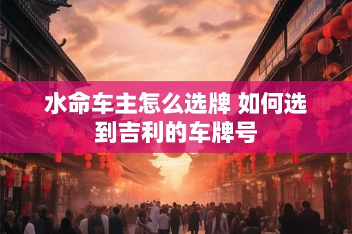 水命车主怎么选牌 如何选到吉利的车牌号