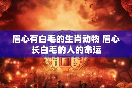 眉心有白毛的生肖动物 眉心长白毛的人的命运