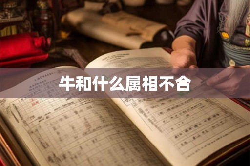 牛和什么属相不合