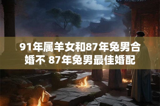 91年属羊女和87年兔男合婚不 87年兔男最佳婚配