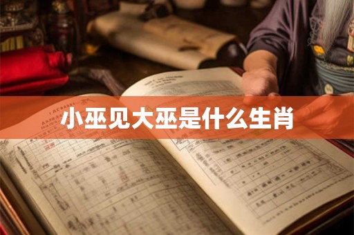 小巫见大巫是什么生肖