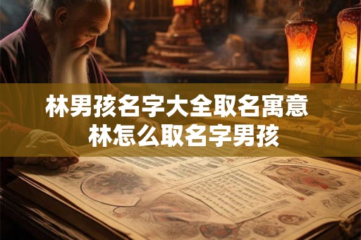 林男孩名字大全取名寓意  林怎么取名字男孩