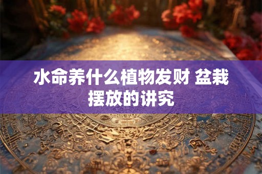 水命养什么植物发财 盆栽摆放的讲究 水命养什么植物发财 盆栽摆放的讲究