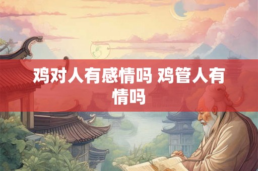 鸡对人有感情吗 鸡管人有情吗