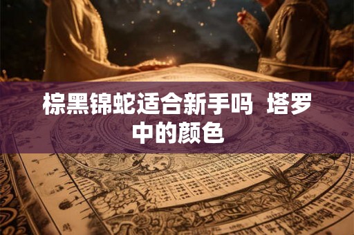 棕黑锦蛇适合新手吗  塔罗中的颜色
