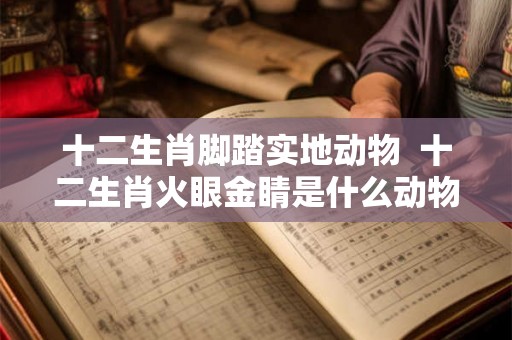 十二生肖脚踏实地动物  十二生肖火眼金睛是什么动物