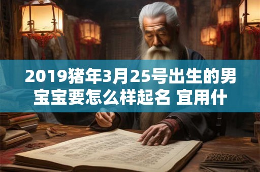 2019猪年3月25号出生的男宝宝要怎么样起名 宜用什么字 2019猪年3月25号出生的男宝宝要怎么样起名 宜用什么字