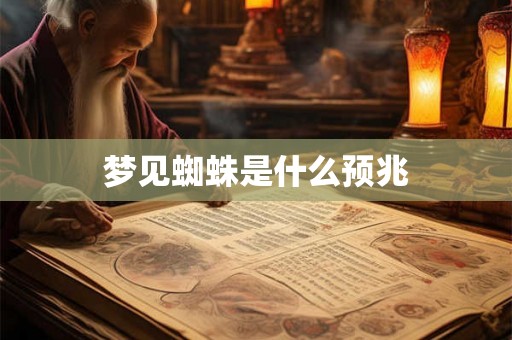 梦见蜘蛛是什么预兆 梦见蜘蛛是什么预兆