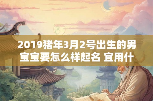 2019猪年3月2号出生的男宝宝要怎么样起名 宜用什么字