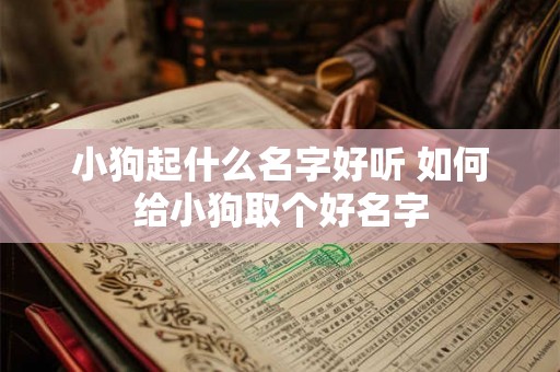 小狗起什么名字好听 如何给小狗取个好名字 小狗起什么名字好听 如何给小狗取个好名字