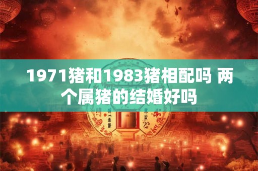 1971猪和1983猪相配吗 两个属猪的结婚好吗