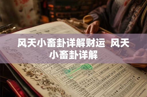 风天小畜卦详解财运  风天小畜卦详解