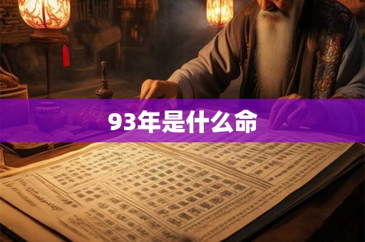 93年是什么命