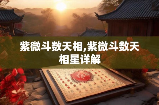 紫微斗数天相,紫微斗数天相星详解