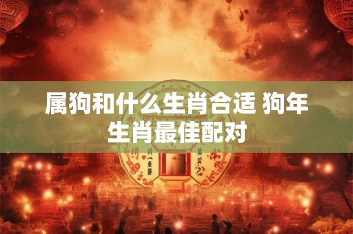 属狗和什么生肖合适 狗年生肖最佳配对