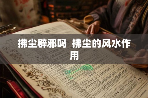 拂尘辟邪吗  拂尘的风水作用