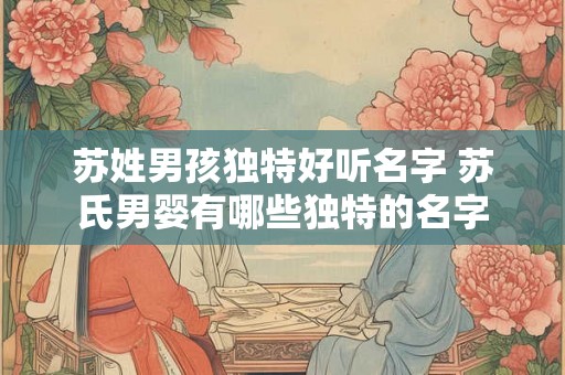 苏姓男孩独特好听名字 苏氏男婴有哪些独特的名字 苏姓男孩独特好听名字 苏氏男婴有哪些独特的名字