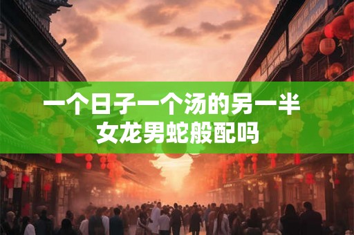 一个日子一个汤的另一半  女龙男蛇般配吗