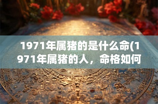 1971年属猪的是什么命(1971年属猪的人，命格如何？)