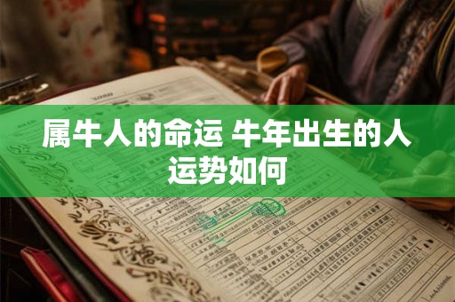 属牛人的命运 牛年出生的人运势如何