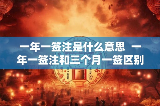 一年一签注是什么意思  一年一签注和三个月一签区别