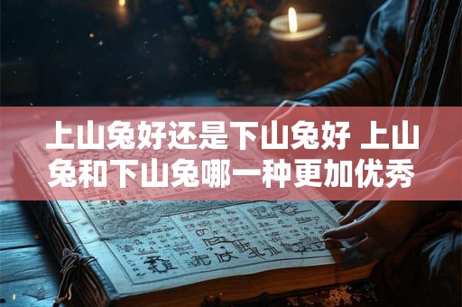 上山兔好还是下山兔好 上山兔和下山兔哪一种更加优秀 上山兔好还是下山兔好 上山兔和下山兔哪一种更加优秀