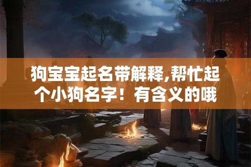 狗宝宝起名带解释,帮忙起个小狗名字！有含义的哦