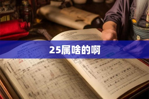 25属啥的啊