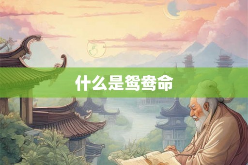 什么是鸳鸯命