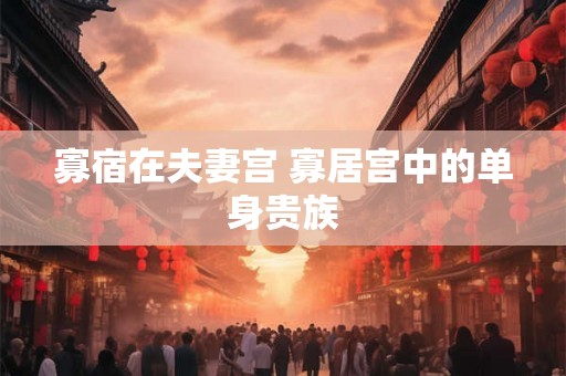 寡宿在夫妻宫 寡居宫中的单身贵族
