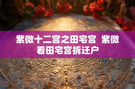 紫微十二宫之田宅宫  紫微看田宅宫拆迁户