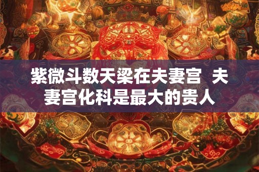紫微斗数天梁在夫妻宫  夫妻宫化科是最大的贵人