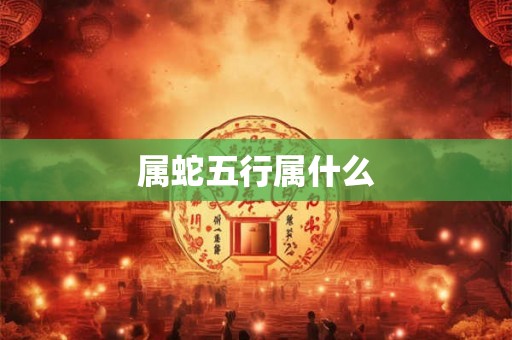 属蛇五行属什么