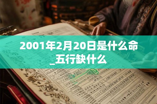 2001年2月20日是什么命_五行缺什么