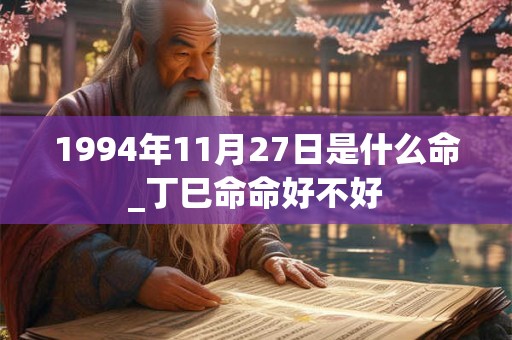 1994年11月27日是什么命_丁巳命命好不好