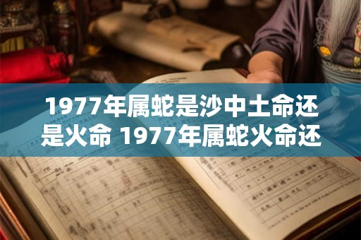 1977年属蛇是沙中土命还是火命 1977年属蛇火命还是土命