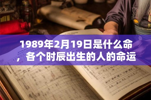 1989年2月19日是什么命，各个时辰出生的人的命运