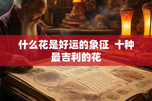 什么花是好运的象征  十种最吉利的花