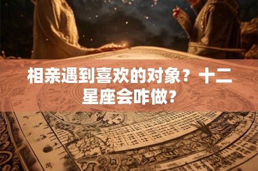相亲遇到喜欢的对象？十二星座会咋做？