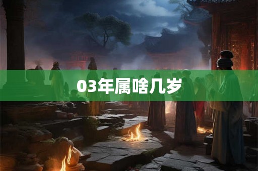 03年属啥几岁