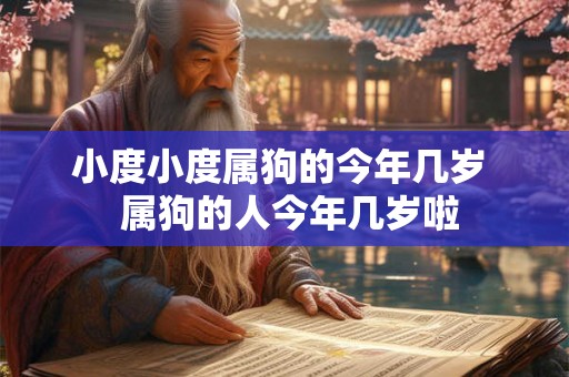 小度小度属狗的今年几岁  属狗的人今年几岁啦
