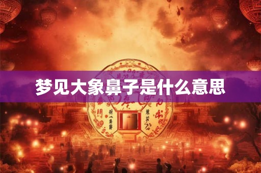 梦见大象鼻子是什么意思