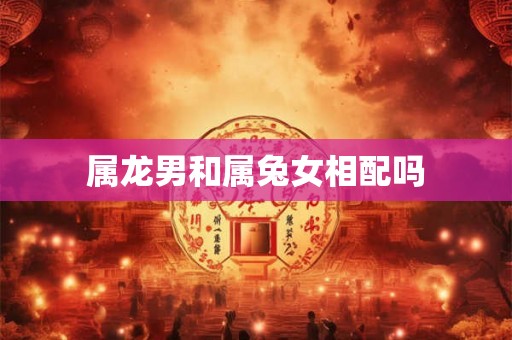 属龙男和属兔女相配吗