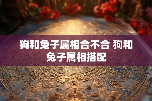 狗和兔子属相合不合 狗和兔子属相搭配 狗和兔子属相合不合 狗和兔子属相搭配