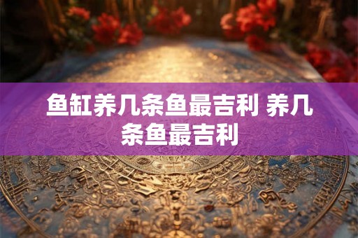 鱼缸养几条鱼最吉利 养几条鱼最吉利