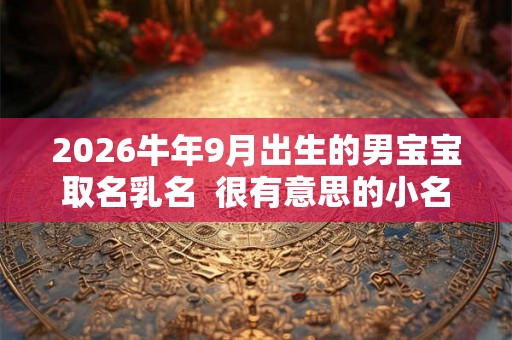 2026牛年9月出生的男宝宝取名乳名  很有意思的小名