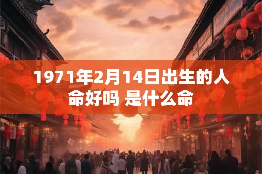 1971年2月14日出生的人命好吗 是什么命