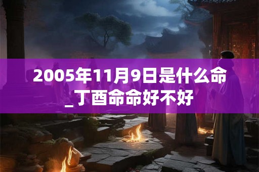 2005年11月9日是什么命_丁酉命命好不好